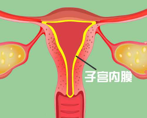 广州代孕代生儿子包性别|铁岭试管婴儿取卵后第一天告知可疑受精怎么办？