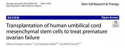 新综述：间充质干细胞移植是治疗卵巢早衰的有效方法