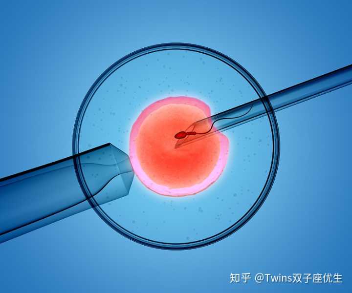 广州三代试管婴儿可以选择性别吗？,广州集爱做三代试管婴儿可以确定胚胎性